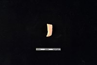 陶片藏品圖，第2張